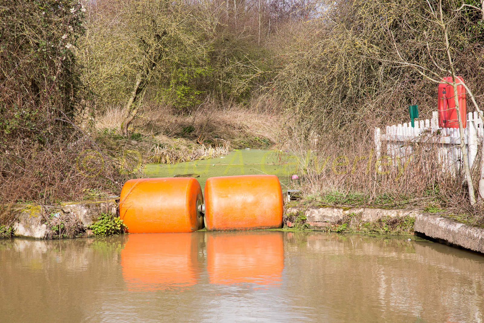 Oxford_Canal_[North]-2028.jpg